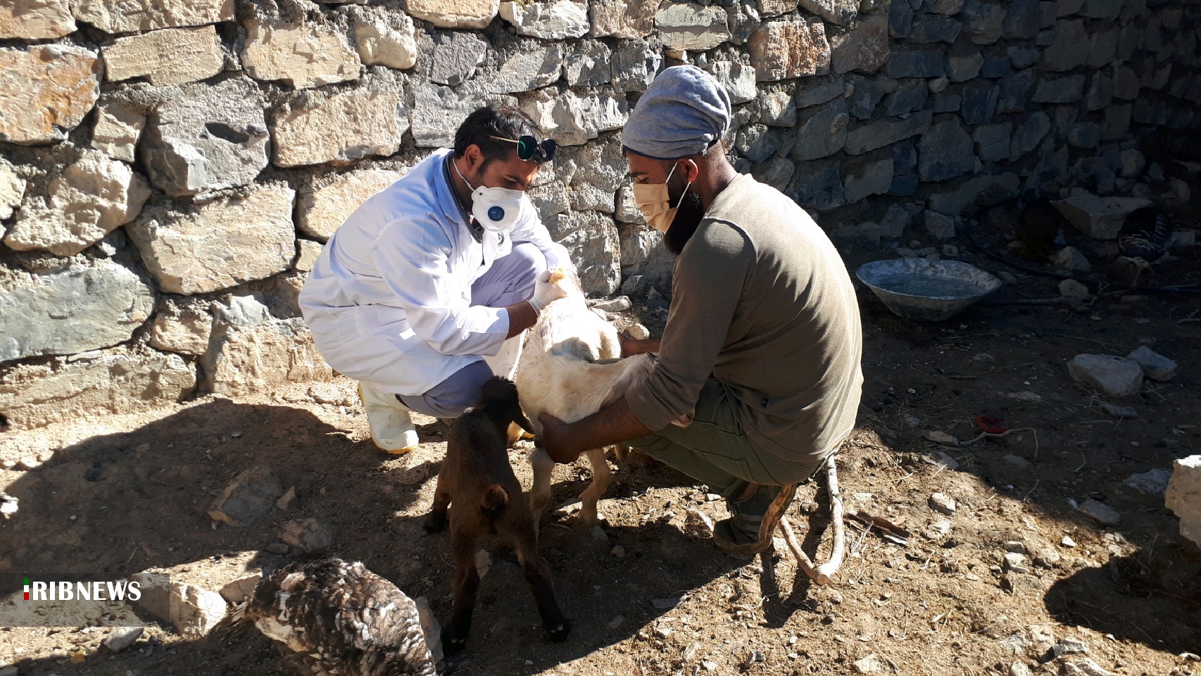 برپایی ارودی جهادی بسیج جامعه کشاورزی در روستای فتح باشت