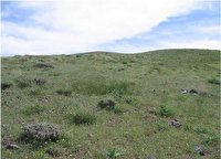 ۳۰ هزار همیار طبیعت در استان مرکزی