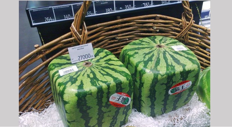 گرانترین و خاصترین میوههای جهان را بشناسید + تصاویر گرانترین و خاصترین میوههای جهان را بشناسید + تصاویر