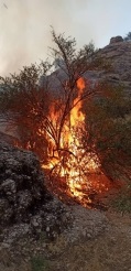 مهار آتش سوزی مراتع چاه سنجد شهرستان بختگان