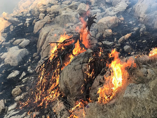 آتش سوزی در جنگل‌ها و مراتع ۲ منطقه از شهرستان بویراحمد