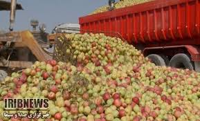 برخورد با بامراکز غیرمجاز خریدوفروش سیب