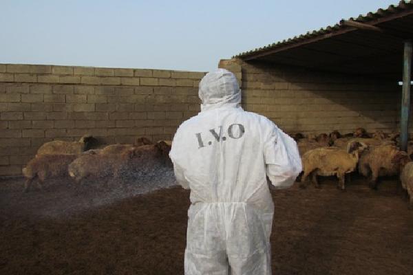 سمپاشی رایگان دام و جایگاه نگهداری دام در خوزستان سمپاشی رایگان دام و جایگاه نگهداری دام در خوزستان