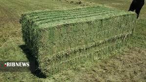 خلاصه مهم‌ترین خبر‌های امروز فارس