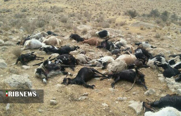 خلاصه مهم‌ترین خبر‌های امروز فارس