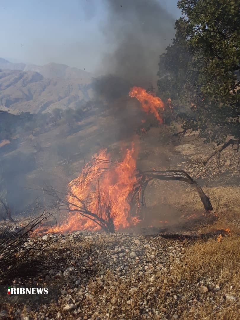 تلاش برای مهار آتش سوزی در کوه شوایی اندیکا