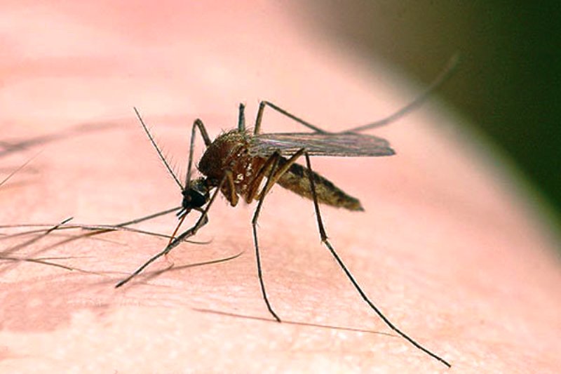 نیش و نوش‌های یک دریاچه فاضلابی