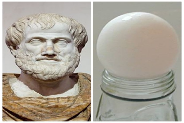 اندر احوالات تخم مرغ در فضای مجازی