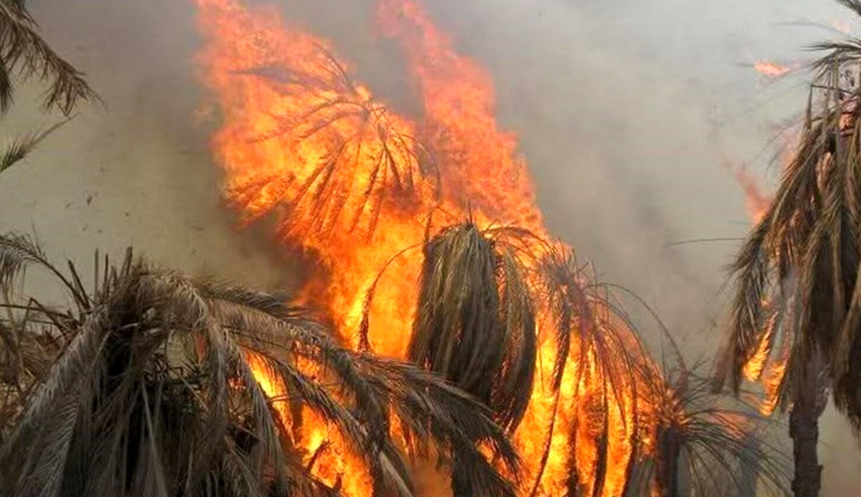 شعلههای سرکش و باغهای بی پشتوانه