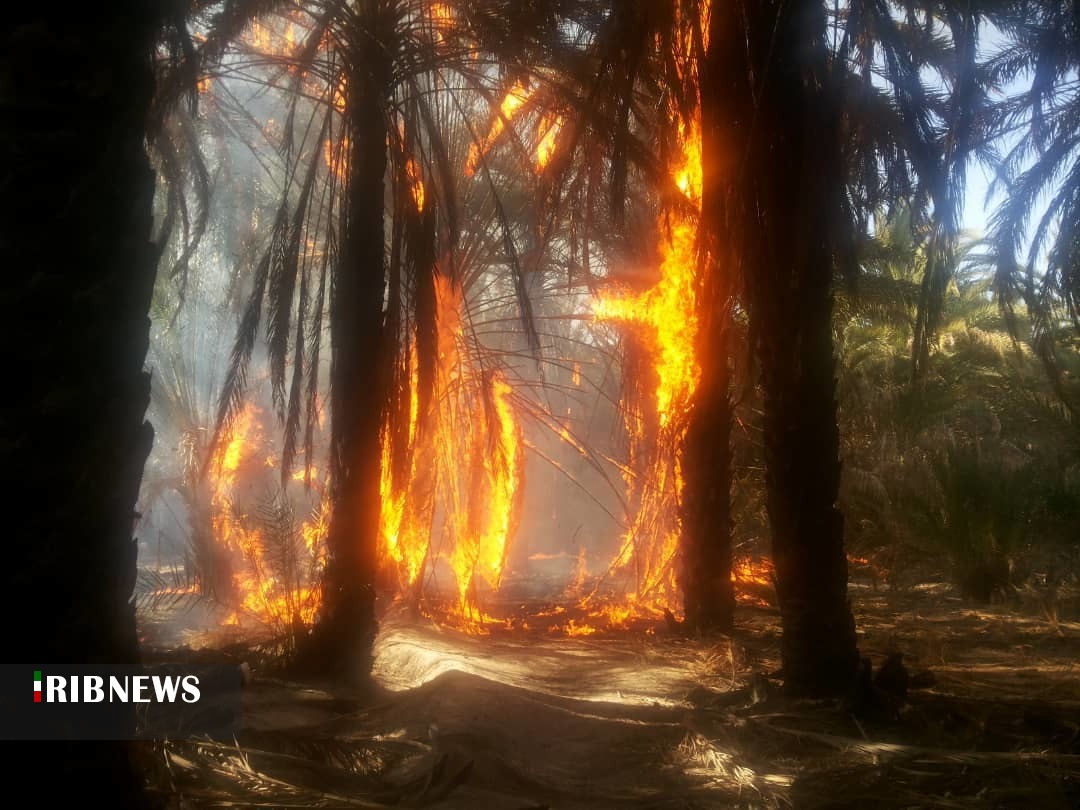 شعله‌های سرکش و باغ‌های بی پشتوانه