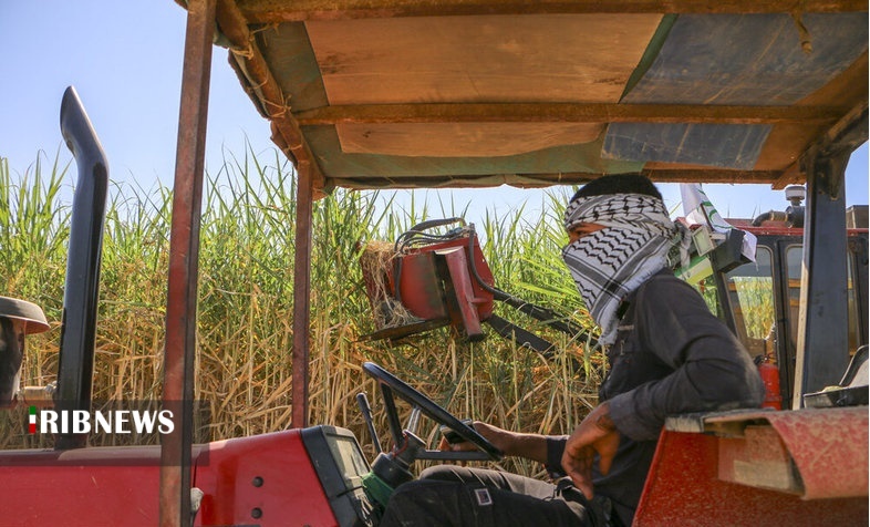 اقتصاد به روایت تصاویر ۱ آبان ۹۹