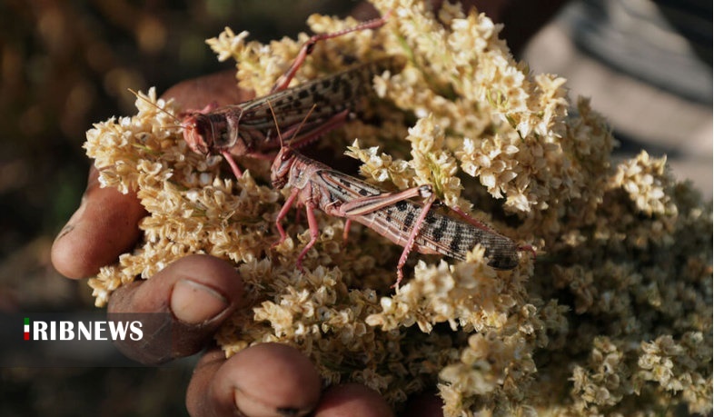 اقتصاد به روایت تصاویر ۱ آبان ۹۹