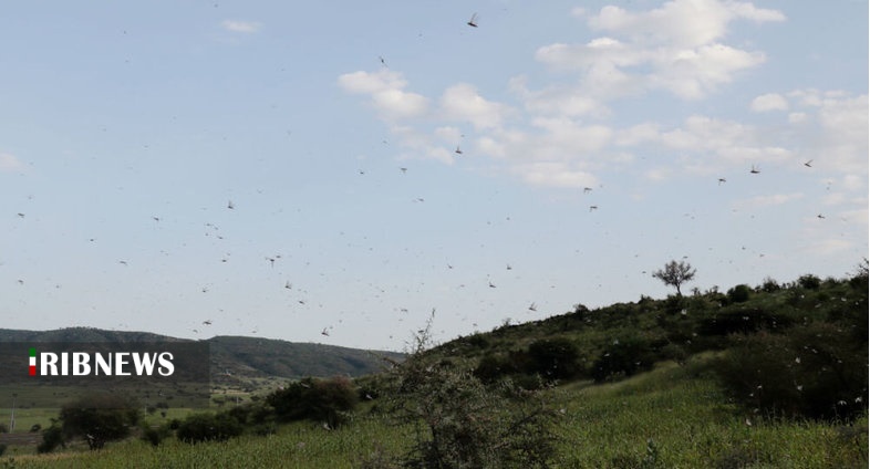 اقتصاد به روایت تصاویر ۱ آبان ۹۹