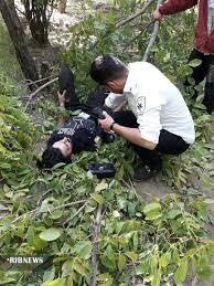 سقوط آزاد گردو تکانان در شهر جهانی گردو