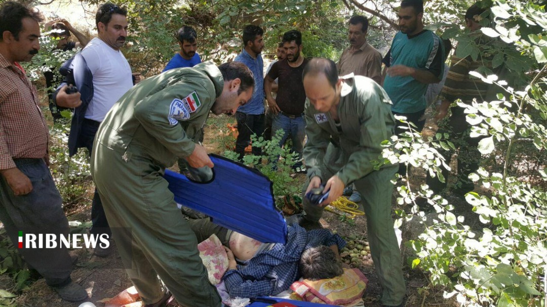 سقوط آزاد گردو تکانان در شهر جهانی گردو