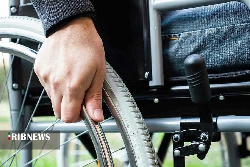 سقوط آزاد گردو تکانان در شهر جهانی گردو