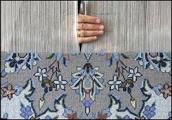 گره مشکلات بر تارو پودشناسنامه ایران