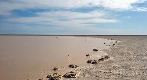 کارگروه احیای تالاب هامون در زابل