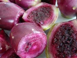 خلیج گواتر ، آخرین خشکی تا قطب جنوب