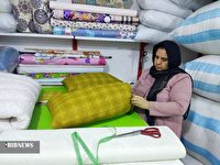 اجرای ۲۷۹ طرح اشتغالزایی برای مددجویان سردشتی