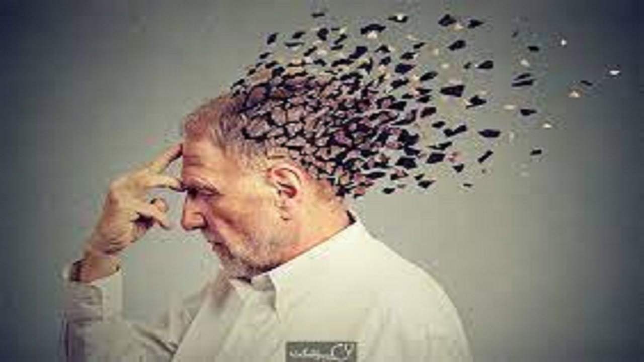 خوراکی های مفید برای رفع مشکل فراموشی