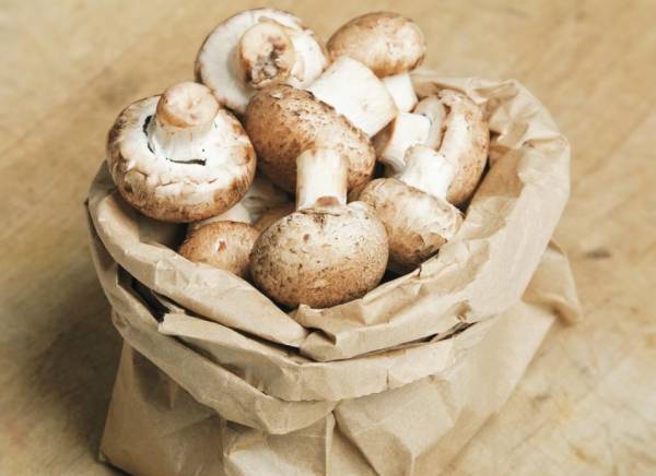 نکاتی برای نگهداری قارچها به مدت طولانی نکاتی برای نگهداری قارچها به مدت طولانی