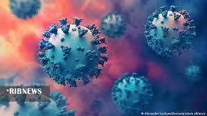 یک فوتی و ۲۹ بیمار جدید در شبانه روز گذشته