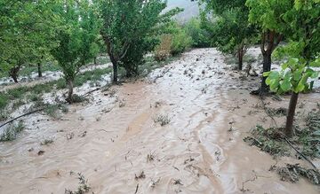 خسارت باران به برخی راهها و مزارع روستایی آذربایجان شرقی