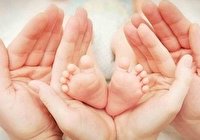 خدمات ناباروری تحت پوشش سازمان‌های بیمه قرار می‌گیرند