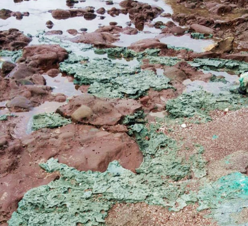 کشف حیرت‌انگیز سنگ‌های «پلاستیکی» در بکرترین جزیرۀ برزیل