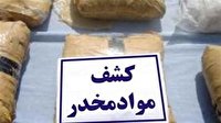 کشف ۱۷۹ کیلو تریاک در پوشش بار توت فرنگی