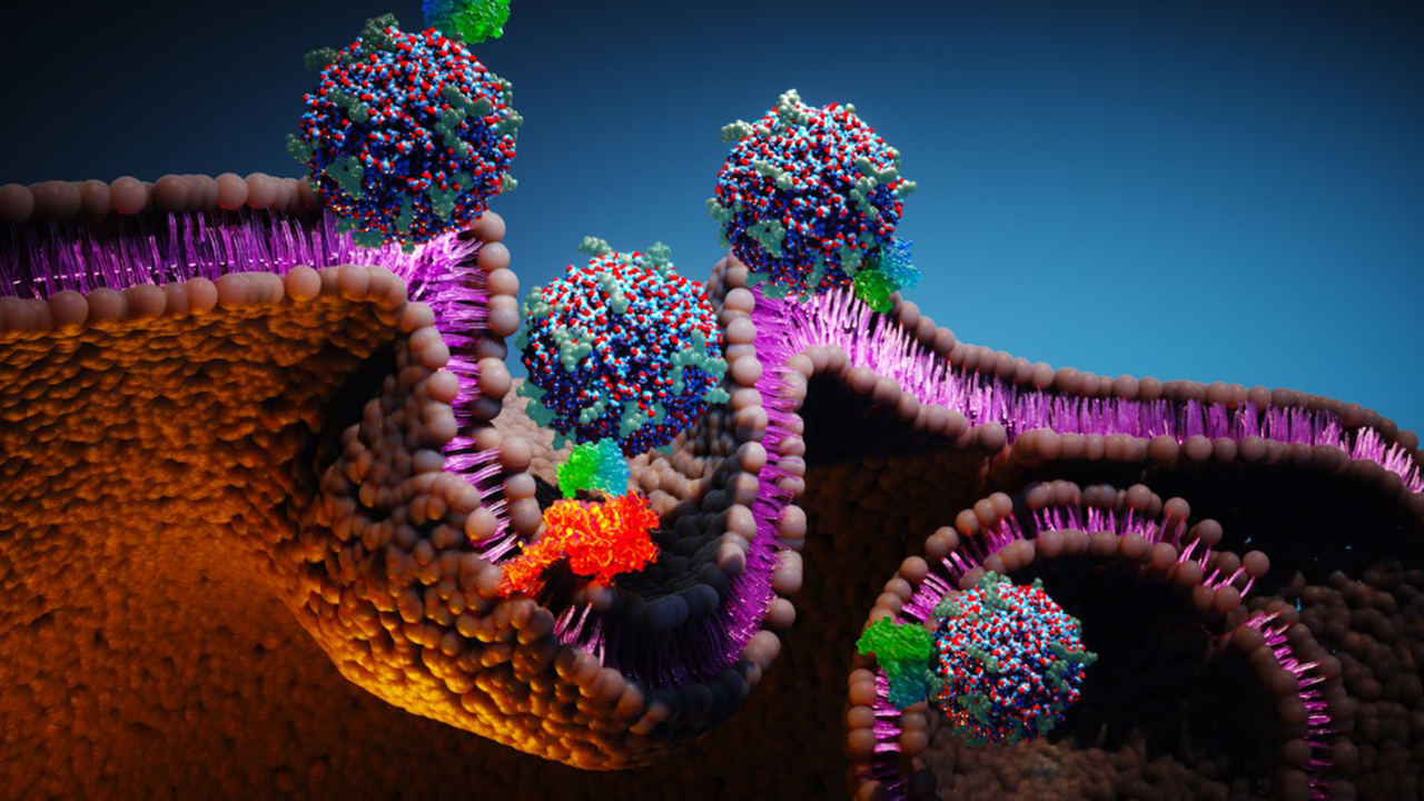 درمان کامل سرطان معده در موشها، بدون عود مجدد درمان کامل سرطان معده در موشها، بدون عود مجدد