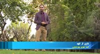 خارج از گود؛ از عیدی ملی پوشان به مردم تا بی توجهی به استعداد شیرجه