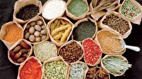 توزیع بذر گیاهان دارویی در آبادان