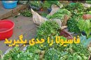 بیماری انگلی فاسیولا مردم اردبیل را تهدید می‌کند