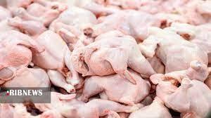 افزایش ۷۰ درصدی جوجه ریزی در مرغداری های خراسان شمالی