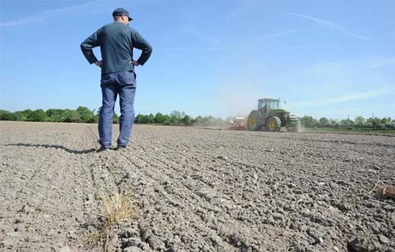 مزارع فرانسه گرفتار بی آبی و خشکسالی