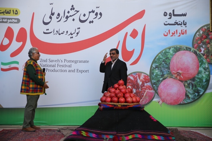 رونمایی از گواهینامه ثبت ملی انار ساوه