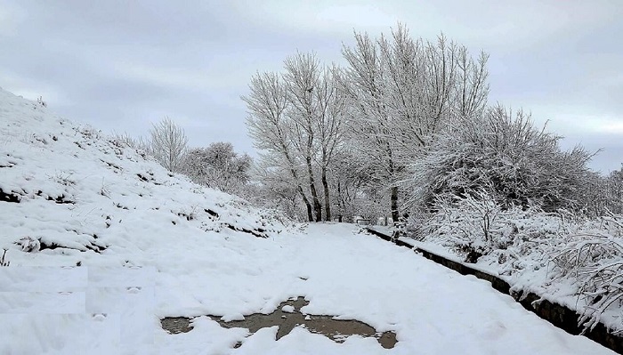 بارش برف و باران زنجان