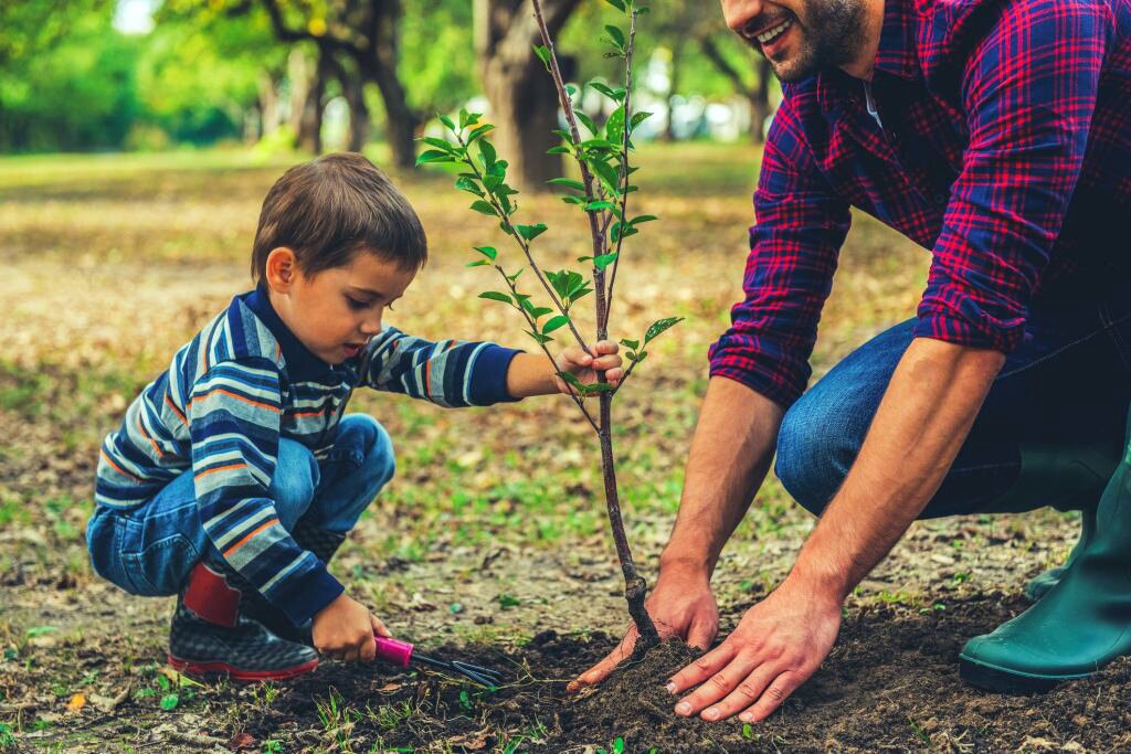 کاشت ۲ هزار اصله نهال در پویشی به نام پدر