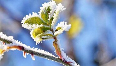 تداوم سرما و یخبندان در زنجان