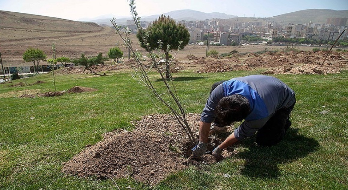 پویش نهال کاری در ساوه