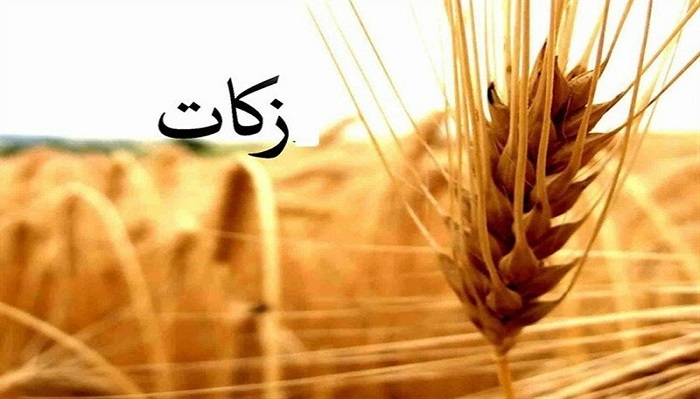 افزایش ۵۰ درصدی پرداخت زکات در زنجان