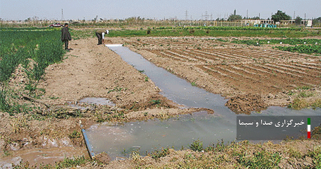 اجرای طرح یکجا کِشتی در اراضی کوچک شهرستان بستان‌آباد