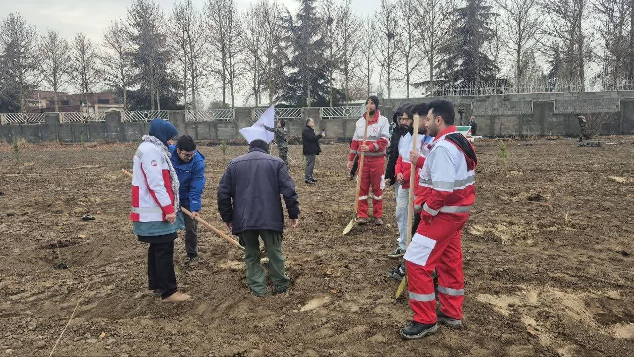 کاشت ۳ هزار و ۵۰۰ اصله نهال در البرز