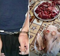 دستگیری شکارچی غیرمجاز در پارک سالوک اسفراین