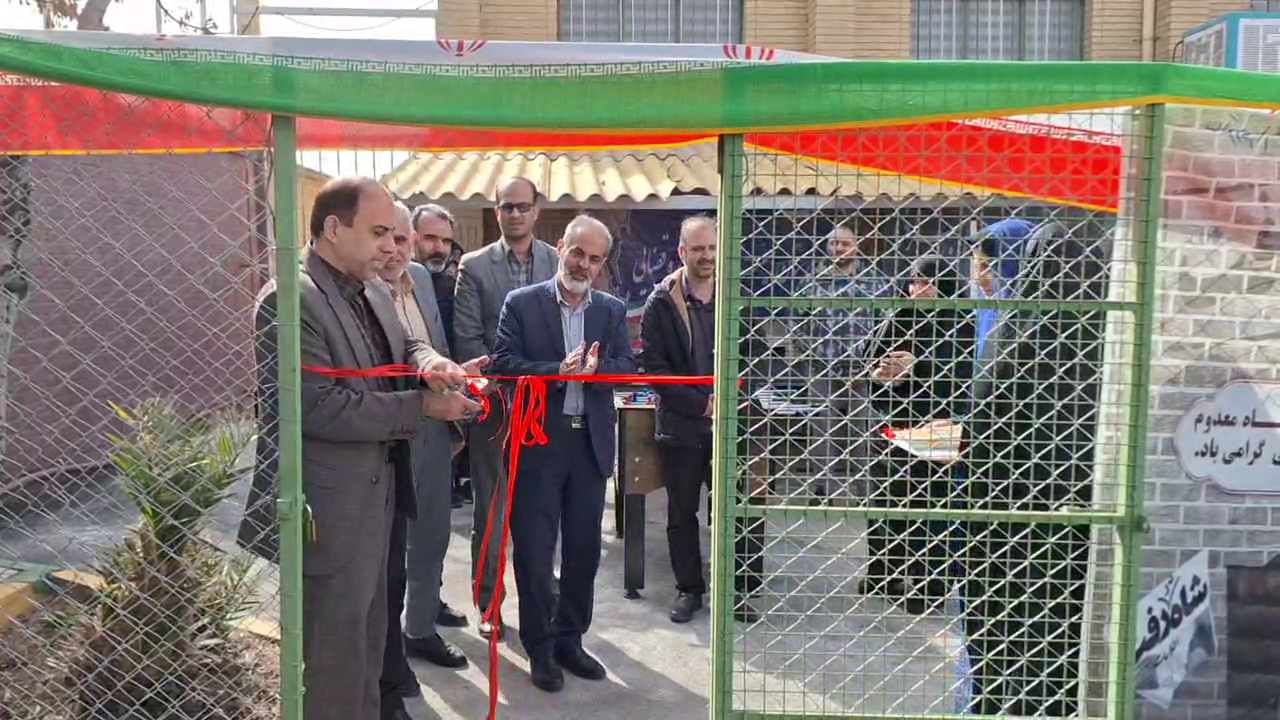 زمین چمن مصنوعی ۳ مدرسه در قم افتتاح شد