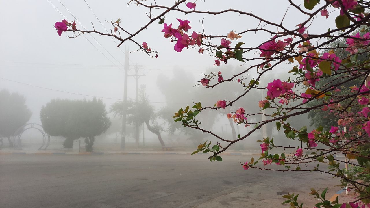 رطوبت ۱۰۰ درصدی هوا در جنوب غرب خوزستان