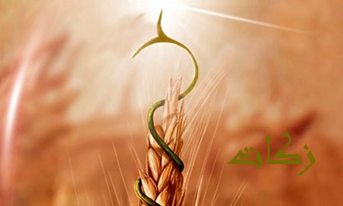 تحقق ۱۰۸ درصدی برنامه زکات در استان زنجان تحقق ۱۰۸ درصدی برنامه زکات در استان زنجان