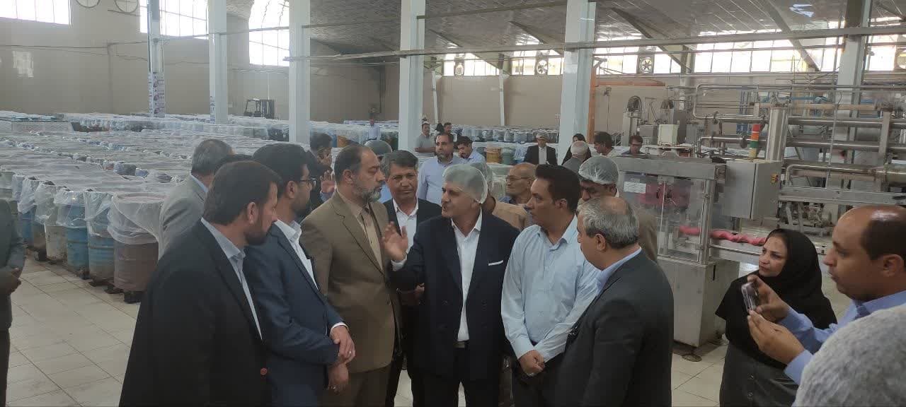 راهاندازی خط تولید رب اسپتیک در عنبرآباد راهاندازی خط تولید رب اسپتیک در عنبرآباد